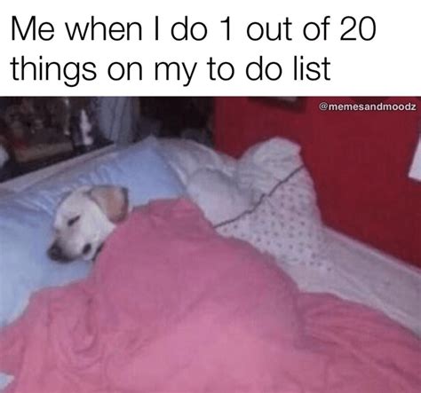 no nap meme|25 Nap Memes for Those Craving a Lil Midday Sleep.